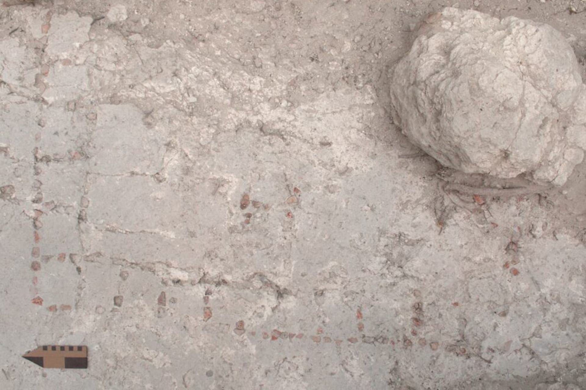 Descoberta rara em Naachtun revela tabuleiro maia de jogo com mais de 1.500 anos 3 Descoberta rara em Naachtun revela tabuleiro maia de jogo com mais de 1.500 anos