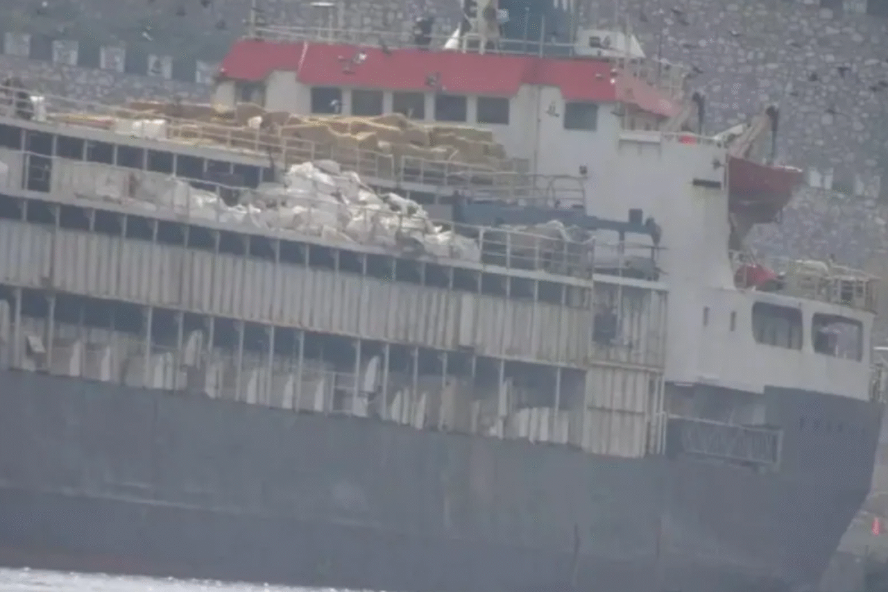 Navio com 3 mil bovinos retorna ao Uruguai após impasse internacional e mortes a bordo