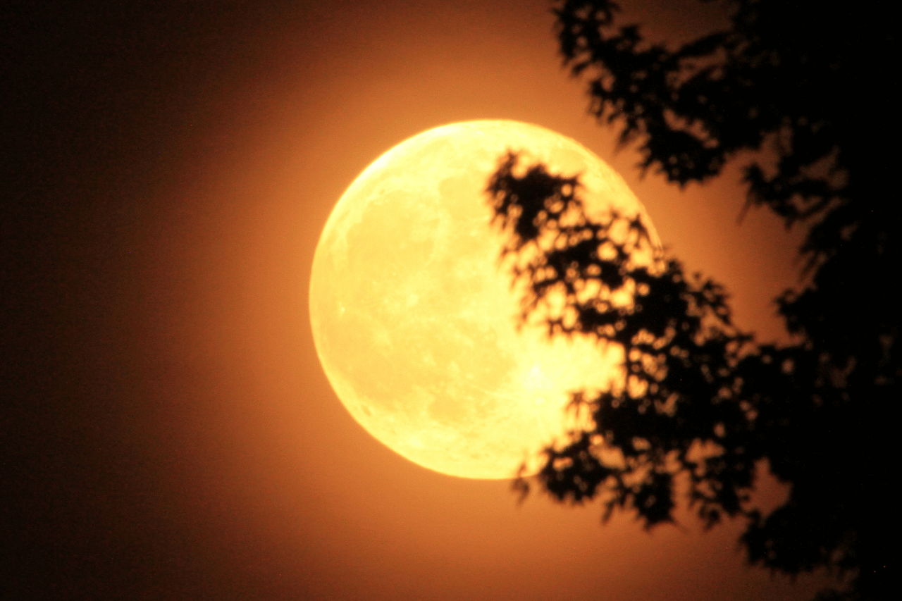 Segunda superlua do ano ilumina o céu nesta quarta