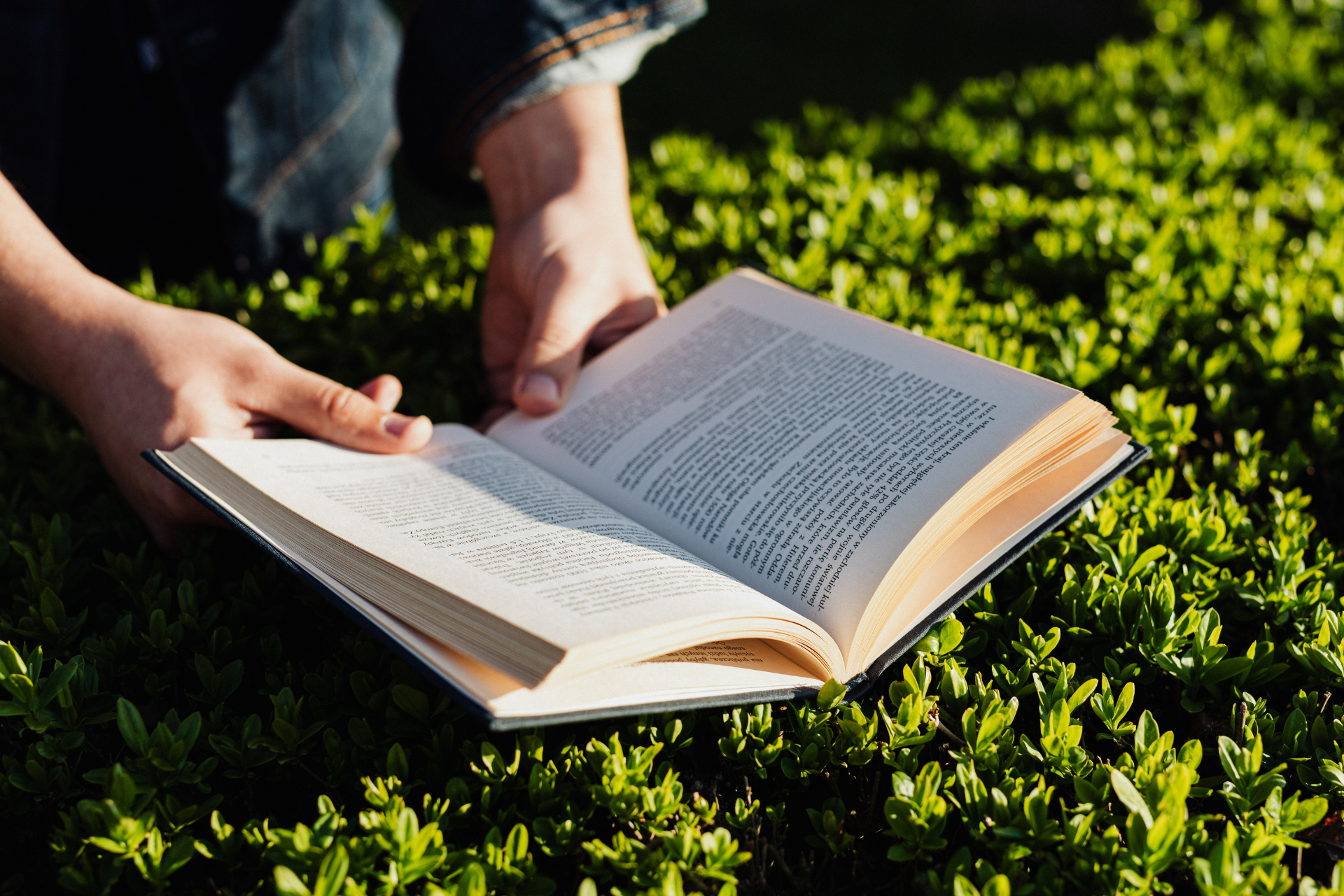 7 livros perfeitos para quem quer voltar a ler e recuperar o hábito da leitura 43 7 livros perfeitos para quem quer voltar a ler e recuperar o hábito da leitura