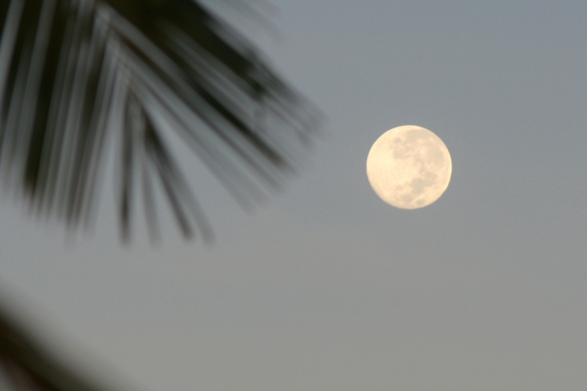 Fase da Lua hoje: veja como está o céu nesta quinta-feira (06/11) 3 Fase da Lua hoje: veja como está o céu nesta quinta-feira (06/11)