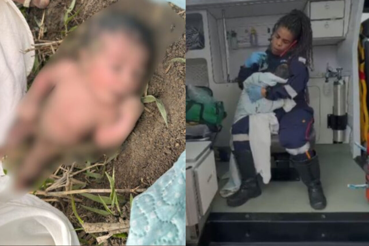 Moradores ouviram o choro e encontraram a recém-nascida próximo a uma área de mata. Bebê foi socorrida pelo Samu e levada para atendimento médico em São Mateus