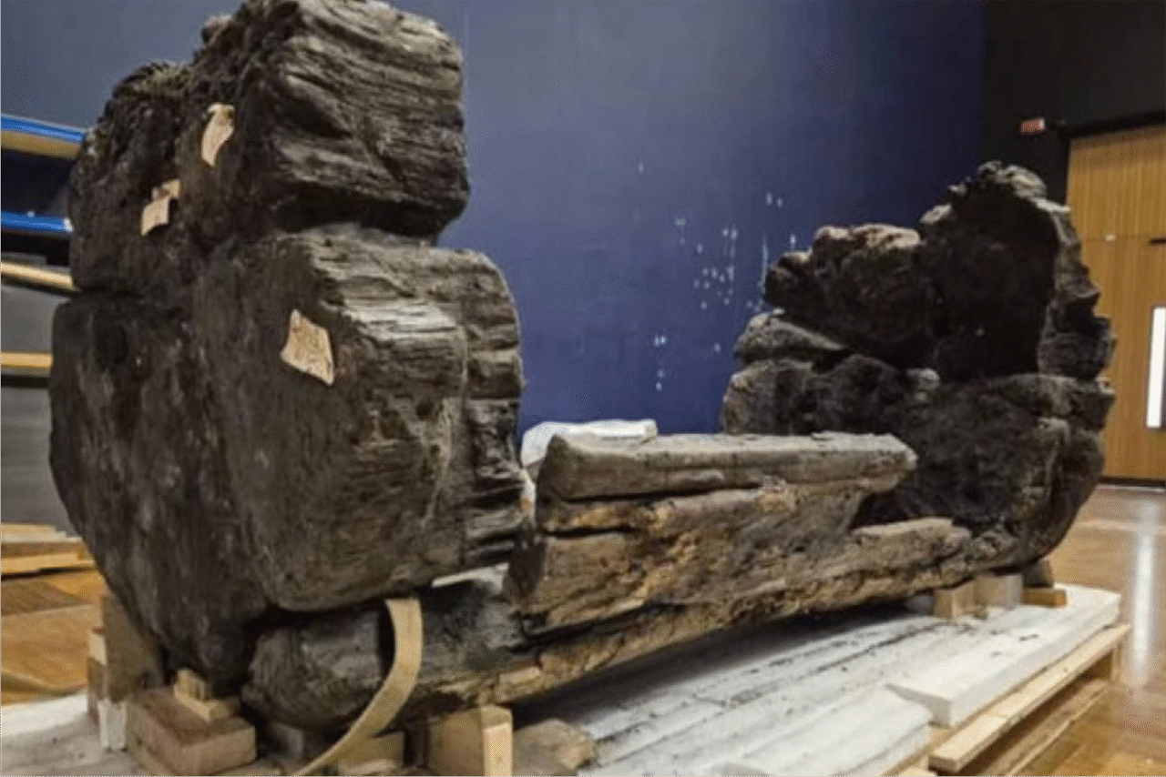 Sarcófago esculpido em tronco de árvore com 4.000 anos é colocado em exposição 1 sarcofago