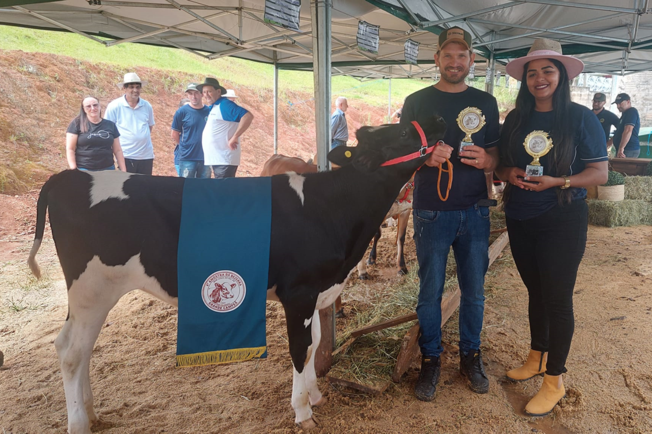 4ª Amostra da Bezerra Leiteira atinge as expectativas em Bom Jesus do Sul 5 Heloisa L 10 2