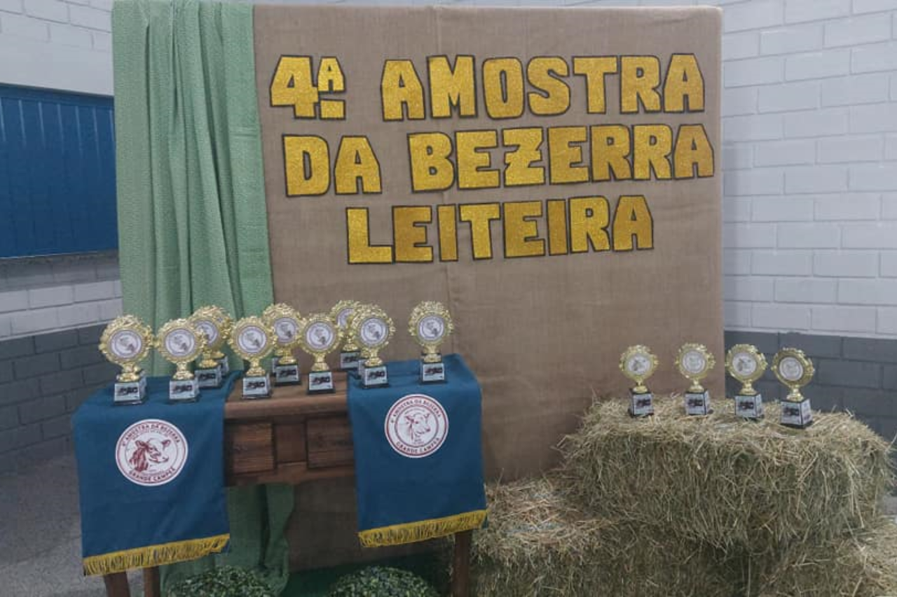 4ª Amostra da Bezerra Leiteira atinge as expectativas em Bom Jesus do Sul 7 Heloisa L 11 2