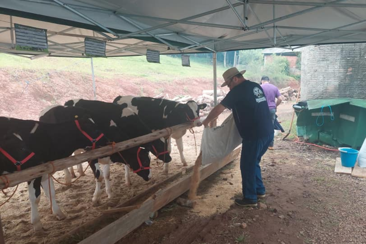 4ª Amostra da Bezerra Leiteira atinge as expectativas em Bom Jesus do Sul 8 Heloisa L 13 2
