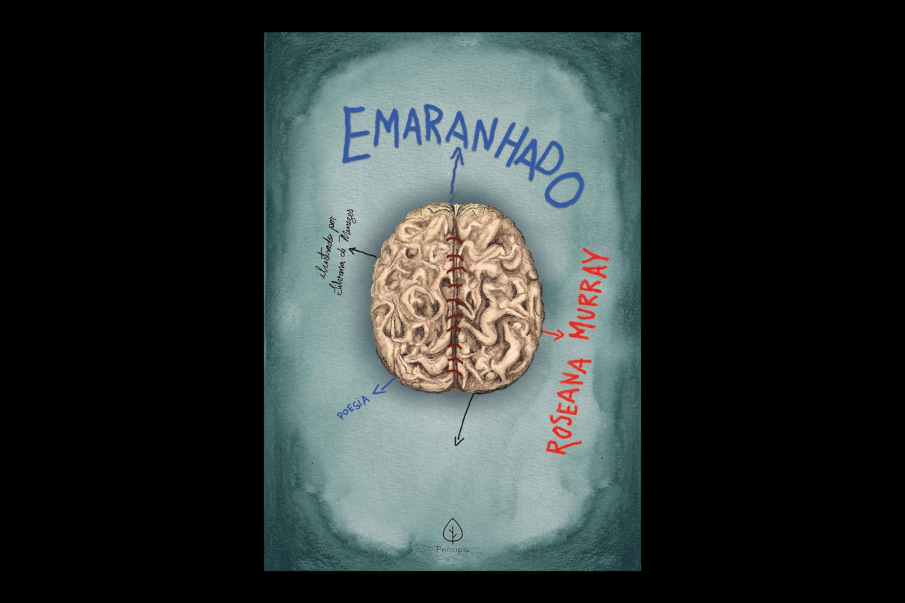 Entre Pessoa, Mera e Brontë: os livros que reacenderam o amor pelos poemas 8 Heloisa L 19 1