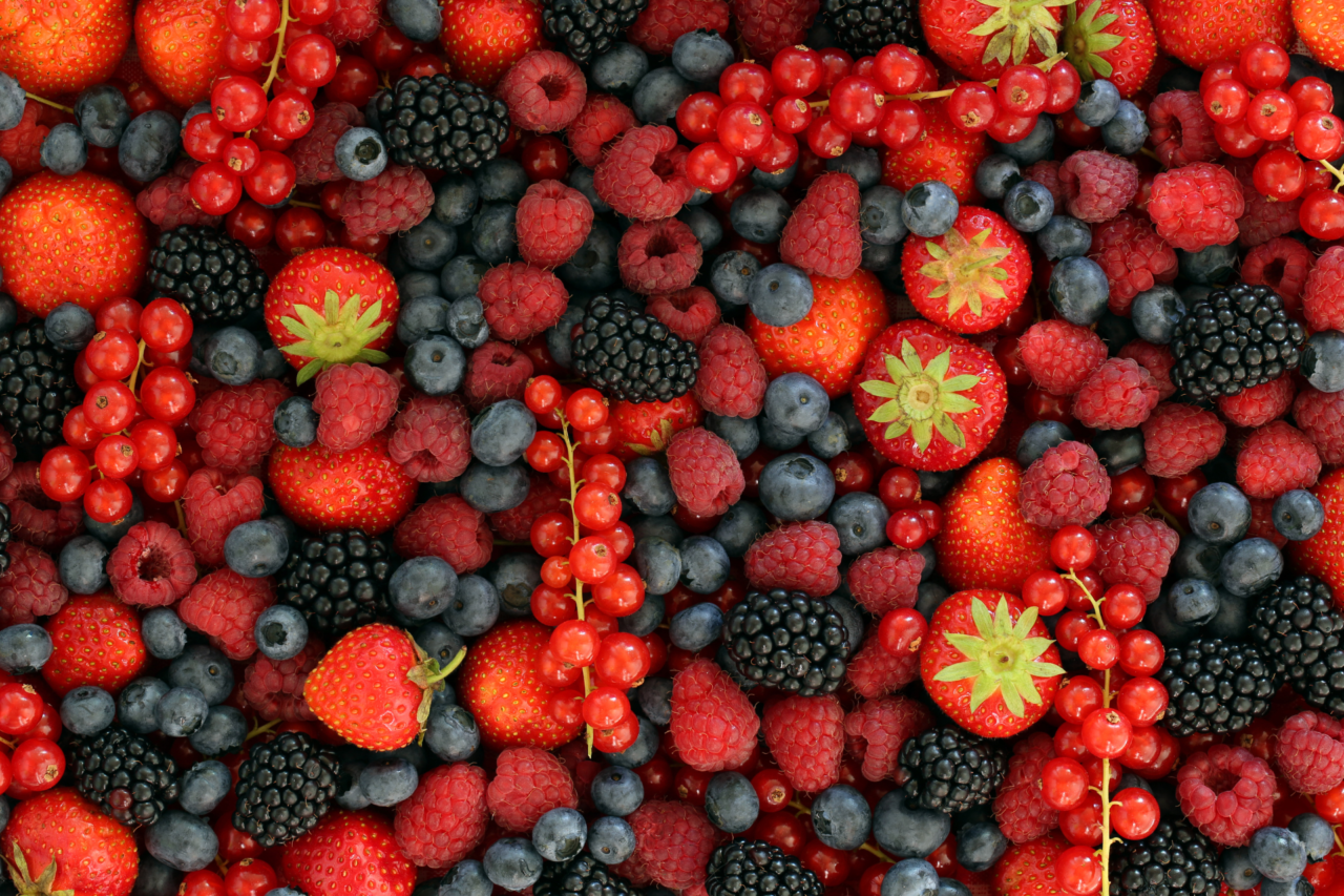 Café da manhã estratégico após os 50: o que colocar no prato para diminuir a gordura abdominal 6 Heloisa L 57 2