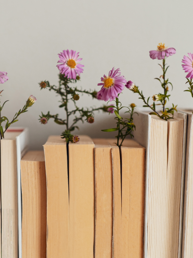 5 livros que exploram relacionamentos tóxicos