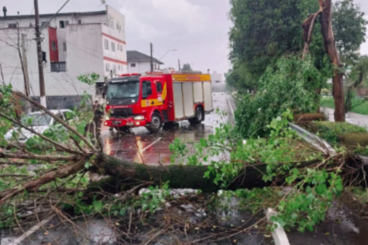 Fortes chuvas e ventos causam alagamentos e danos em Lages na tarde deste domingo(30) 3 crys
