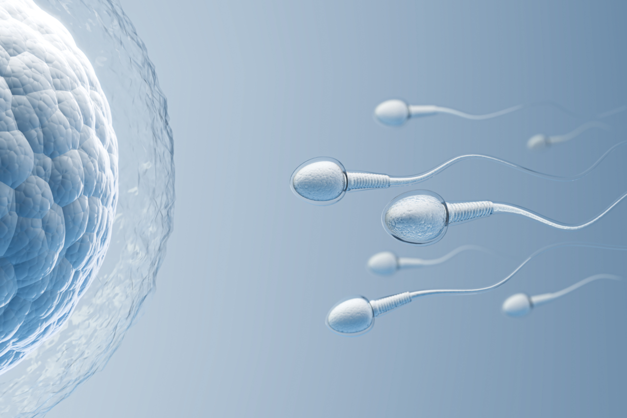 Mutação ligada ao câncer em doador de esperma afeta 197 crianças 1 Investigação revela que um doador de esperma portador de mutação genética ligada a câncer transmitiu a alteração a crianças em 14 países, com casos confirmados de doença grave e risco elevado de tumores.