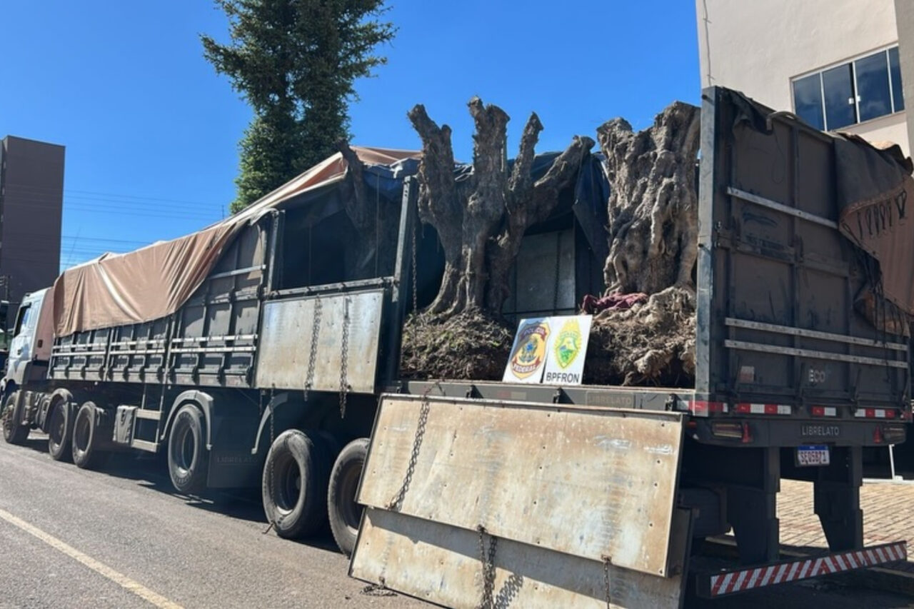 A apreensão ocorreu na manhã desta quinta-feira, quando o caminhão trafegava em uma rota ilegal nas proximidades da fronteira com a Argentina