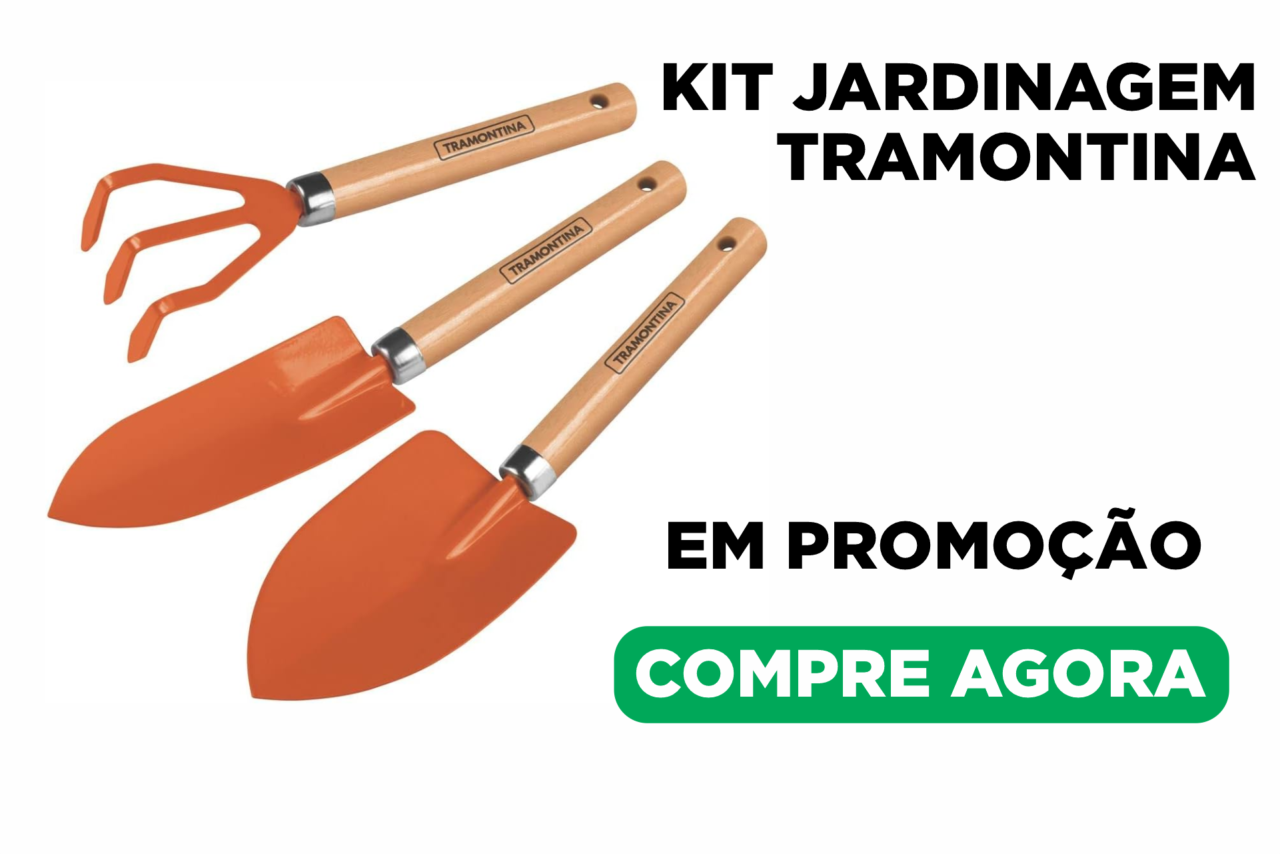 Flores simples, bonitas e resistentes: as 5 melhores espécies para qualquer clima e um jardim cheio de cores 3 flores 1