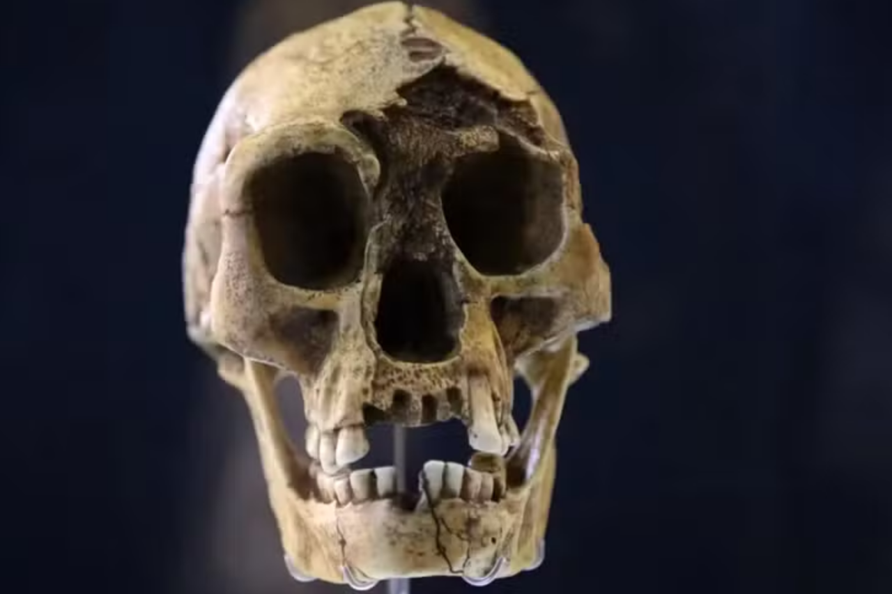 Seca extrema pode ter extinguido o “hobbit humano” 1 Seca extrema pode ter extinguido o “hobbit humano”