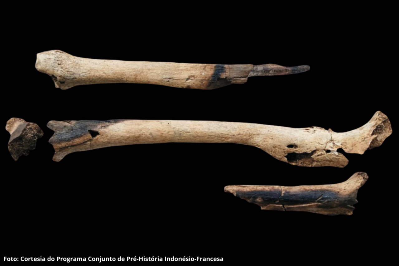 As 10 principais descobertas de 2025 na arqueologia 7 As 10 principais descobertas de 2025 na arqueologia