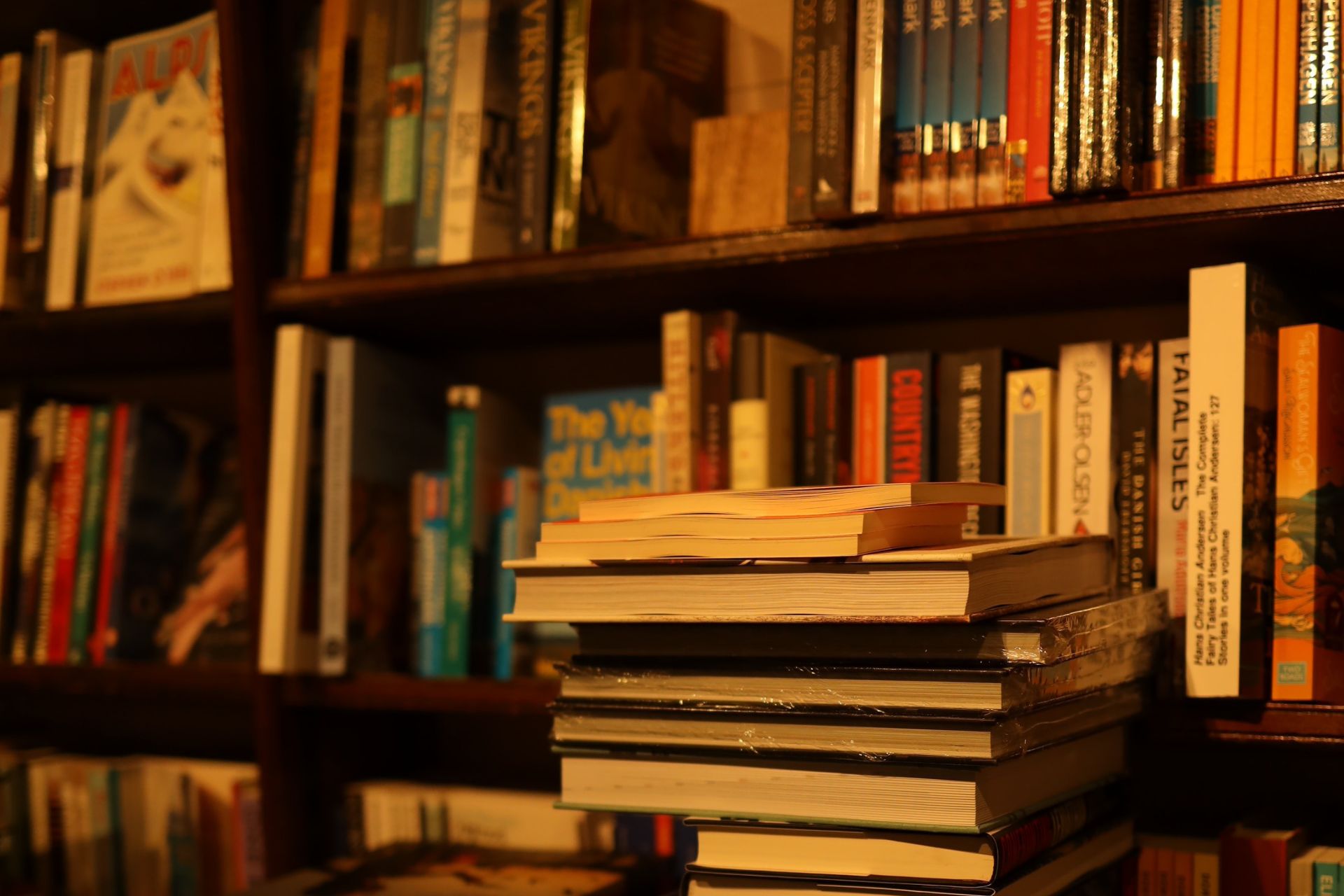 Os 10 melhores livros nacionais lançados em 2025