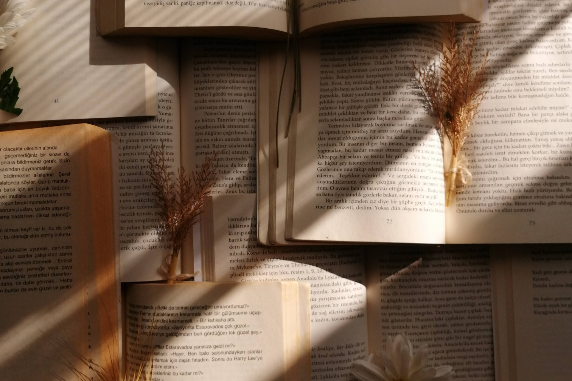 6 livros de suspense e mistério para ler em 2026