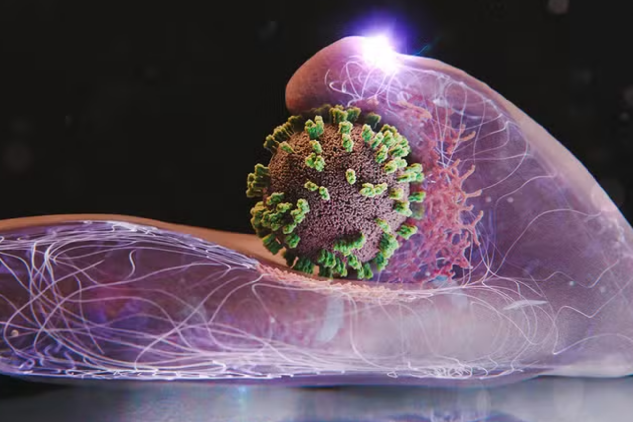 Nova técnica filma, pela primeira vez, o vírus da gripe invadindo uma célula em tempo real