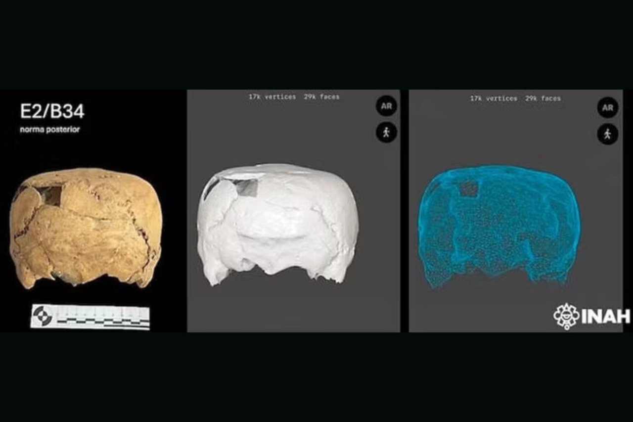 Descoberta no México revela raro crânio quadrado moldado por deformação intencional há mais de 1.500 anos