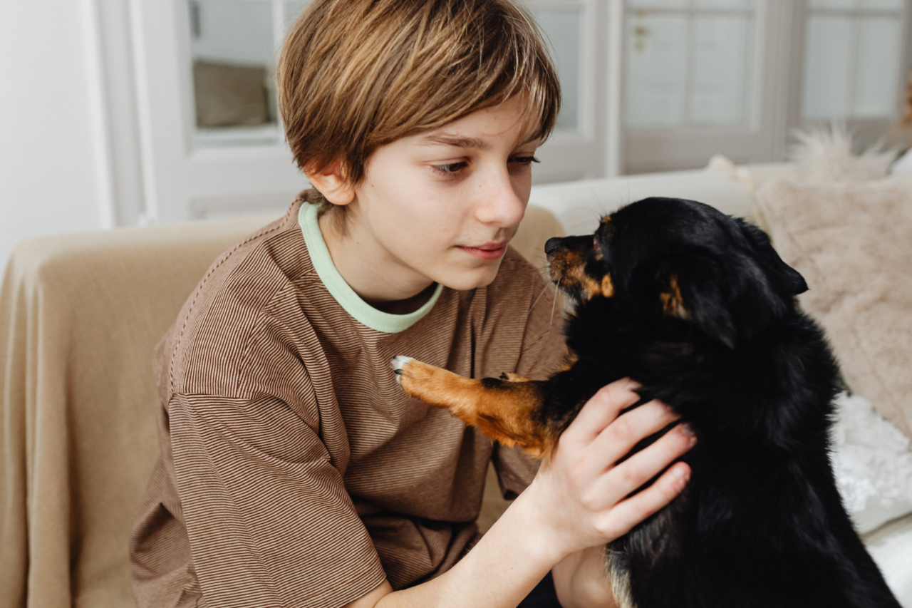 Conviver com cães pode fortalecer a saúde mental de adolescentes, aponta pesquisa japonesa
