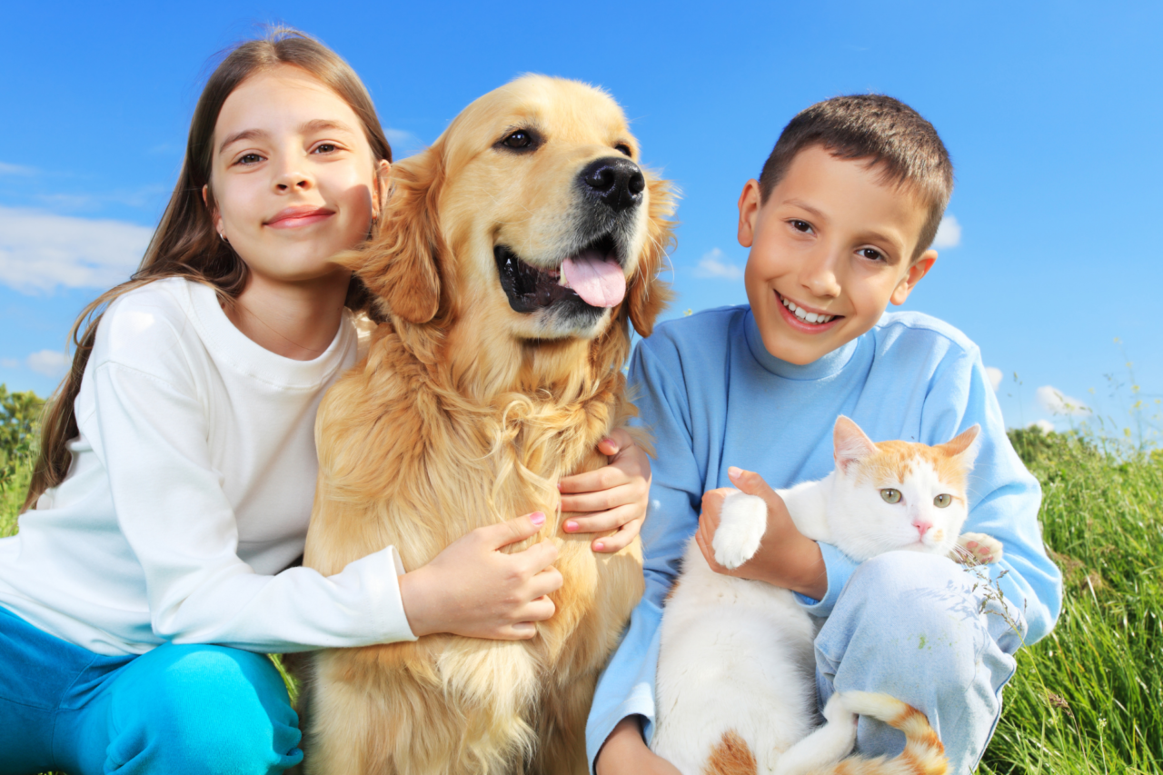 Conviver com cães pode fortalecer a saúde mental de adolescentes, aponta pesquisa japonesa