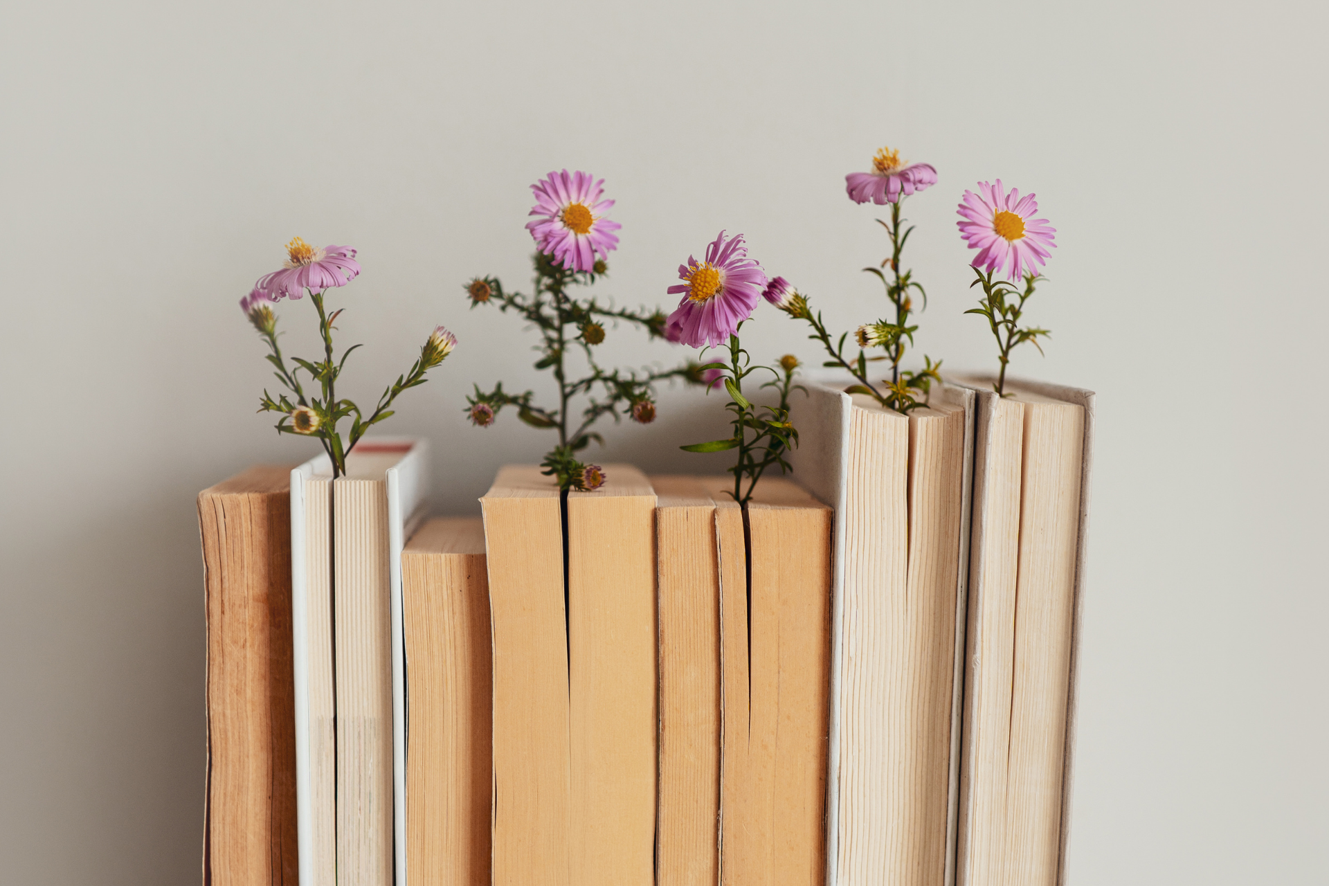 5 livros que exploram relacionamentos tóxicos 45 5 livros que exploram relacionamentos tóxicos