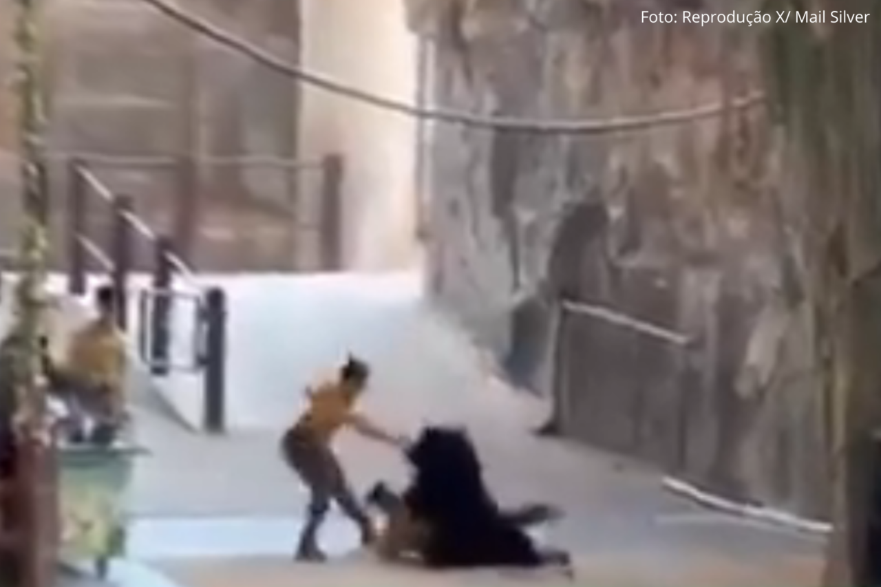 Urso tenta pegar alimento e provoca confusão durante apresentação em parque da China