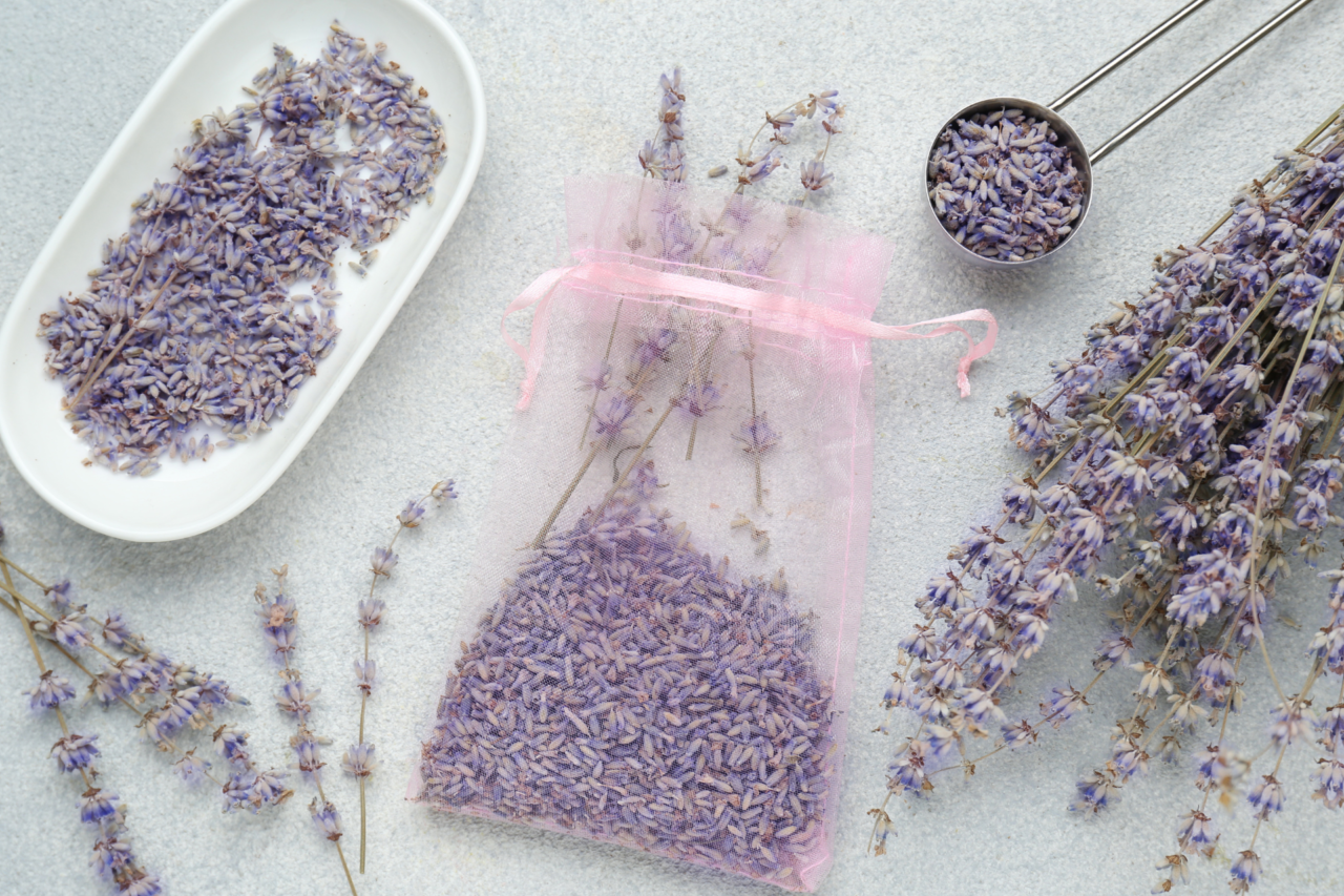 Casa sempre cheirosa: cinco hábitos simples que mantêm o perfume no ar o ano inteiro 6 Heloisa L 14