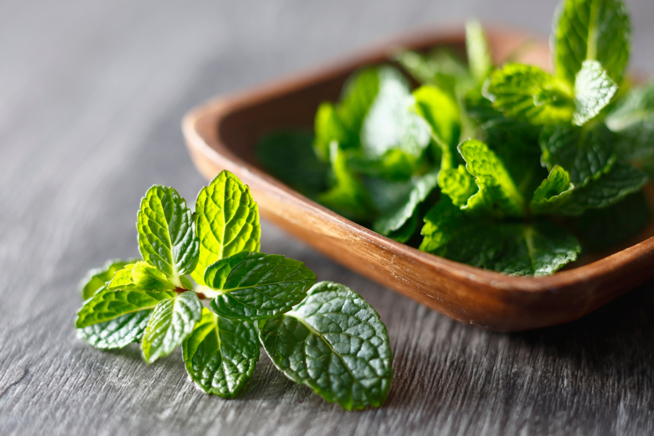 Ervas antigas que eram remédio natural 4 Heloisa L 25 4