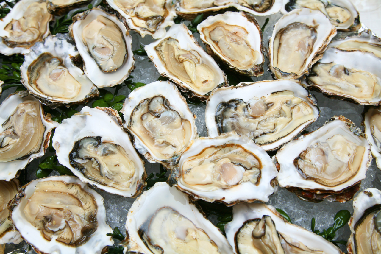Ostras à mesa: como preparar, consumir com segurança e curiosidades sobre um dos alimentos mais antigos do mundo 3 Ostras à mesa: como preparar, consumir com segurança e curiosidades sobre um dos alimentos mais antigos do mundo