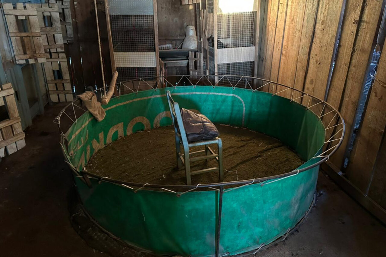 A PF desencadeou nesta terça-feira a Operação Saleiro, com foco no combate a envolvidos em grupo criminoso que atuava nos crimes contra fauna e tráfico de drogas e armas