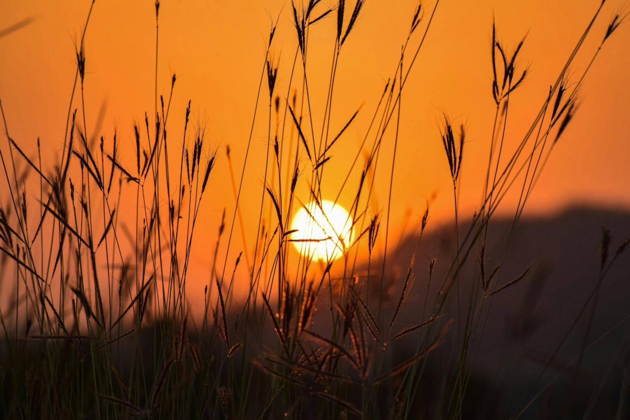 Fim de semana terá predomínio de sol em Santa Catarina e instabilidade retorna a partir de quarta-feira 9 Santa Catarina terá tempo firme e sol no fim de semana, com temperaturas em elevação; instabilidade e risco de temporais retornam a partir de quarta-feira.