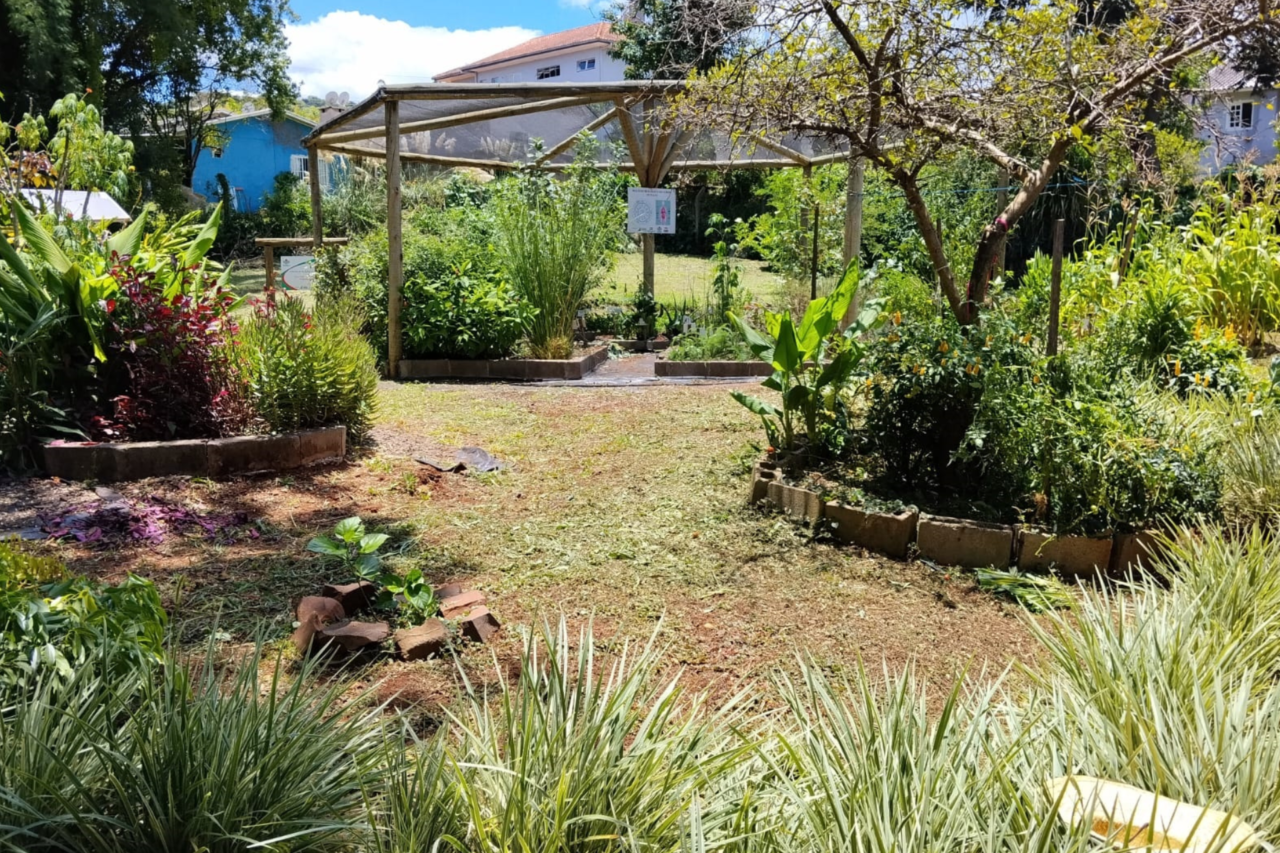Guarujá do Sul revitaliza Horto de Plantas Medicinais com palestras educativas e limpeza 3 Guarujá do Sul revitaliza Horto de Plantas Medicinais com palestras educativas e limpeza