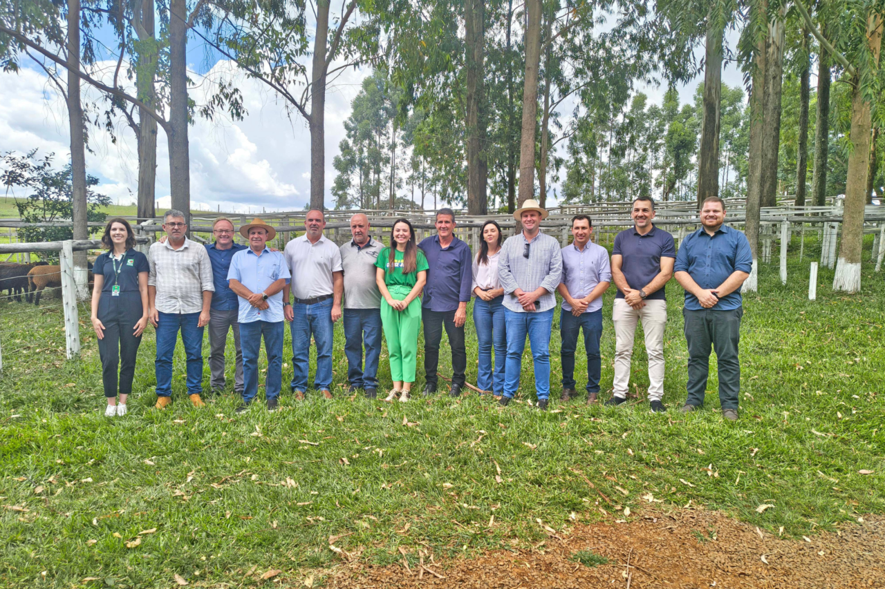 Lançamento do Projeto Ovinocaprinocultura Regional aconteceu nesta terça, em Dionísio Cerqueira 3 crys 58 3