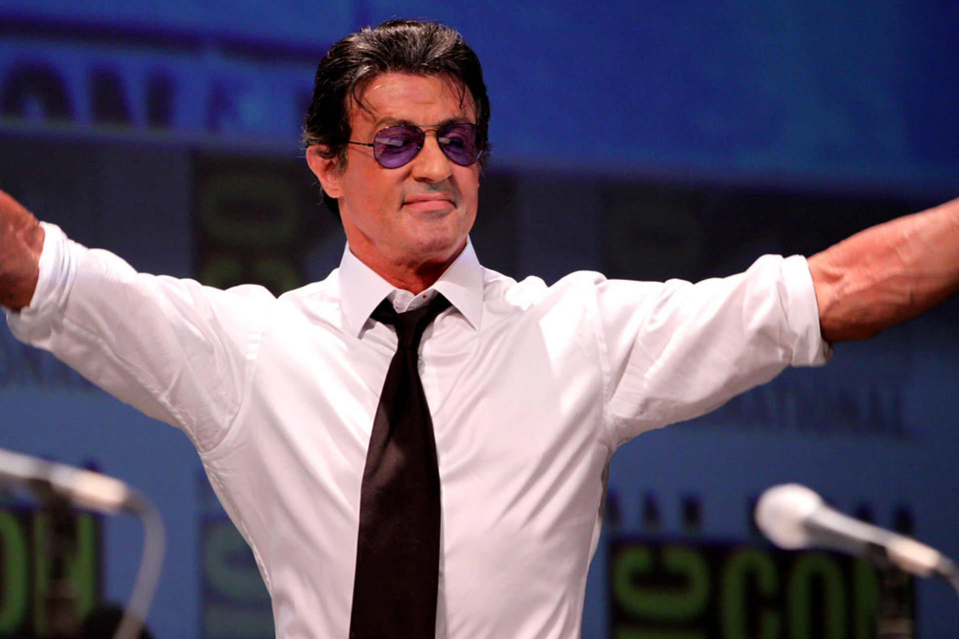 Sylvester Stallone conclui autobiografia escrita à mão 42 Sylvester Stallone conclui autobiografia escrita à mão