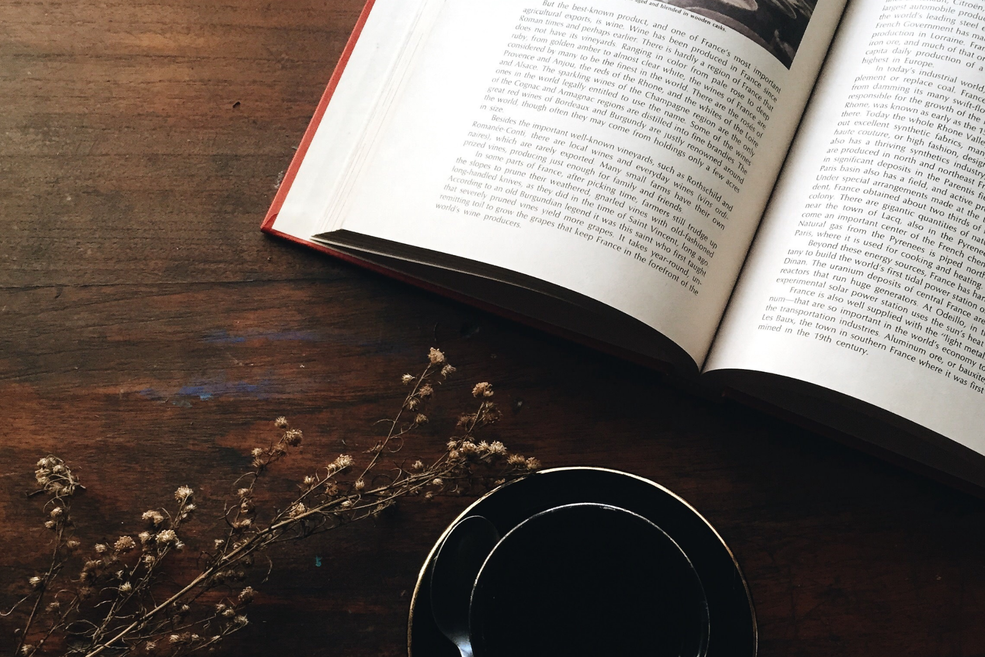 7 livros políticos para você ler e refletir