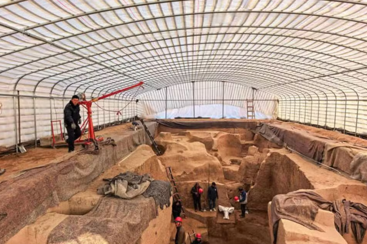 Descoberta arqueológica na China revela possível zoológico da elite com mais de 3 mil anos