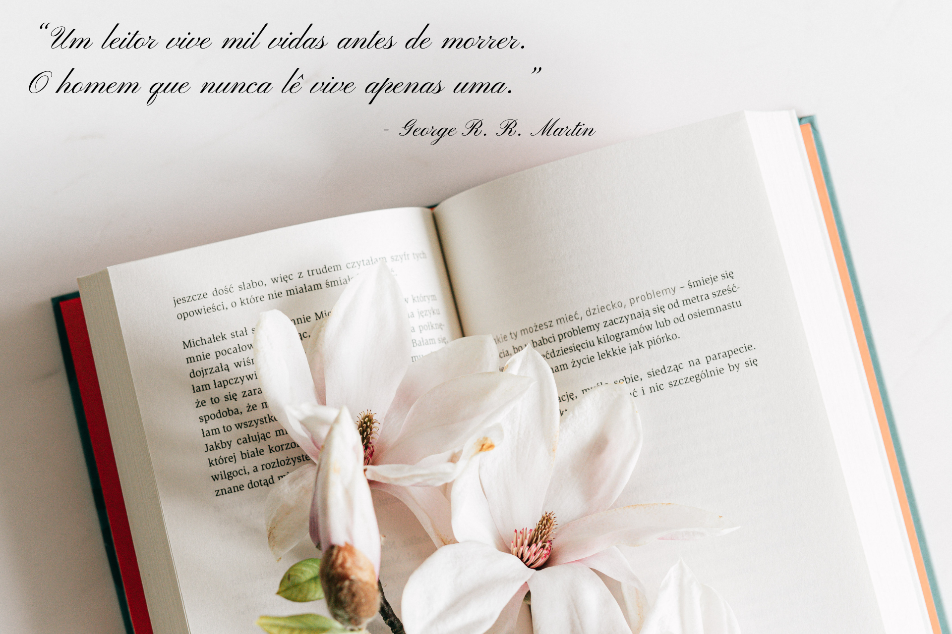 07 de janeiro - Dia do Leitor: um livro menos óbvio para o seu gênero literário favorito