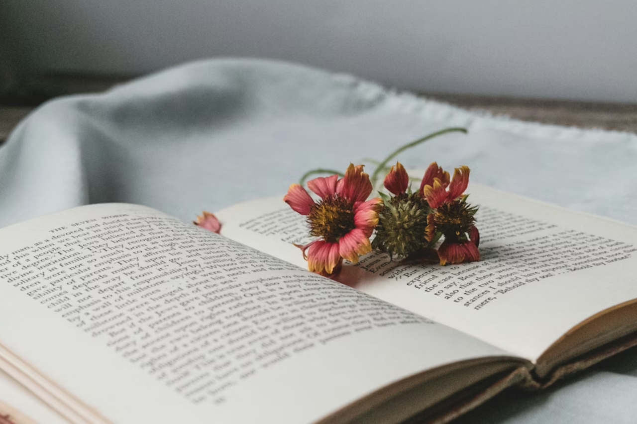 6 livros brasileiros com menos de 200 páginas que vão destroçar seu coração 1 6 livros brasileiros com menos de 200 páginas que vão destroçar seu coração