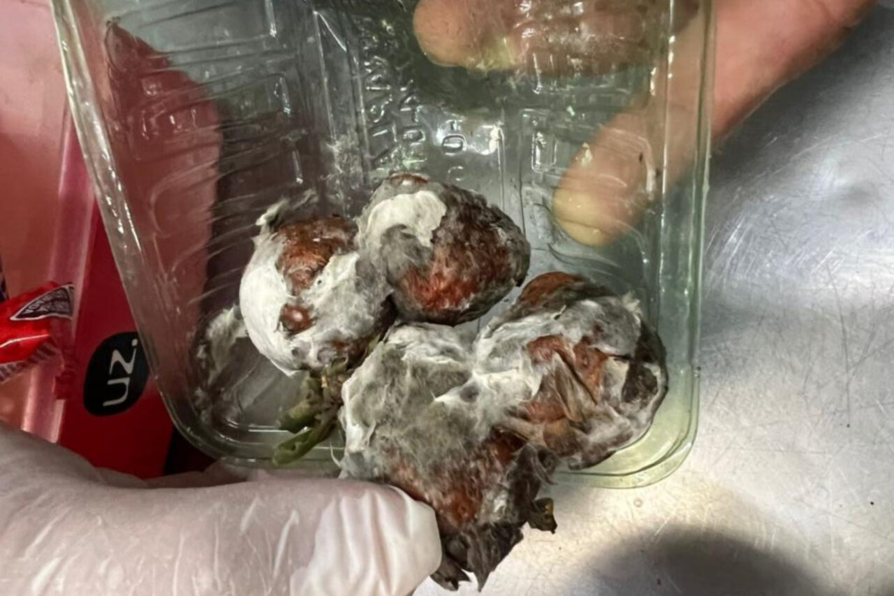 Vigilância Sanitária interdita padaria de supermercado 1 ijuo7