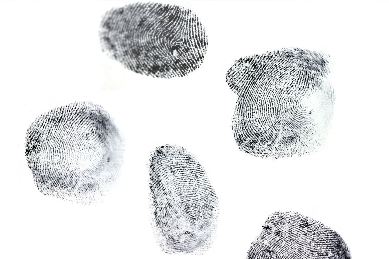 Impressões digitais se formam ainda no útero 4 Heloisa L 64 1