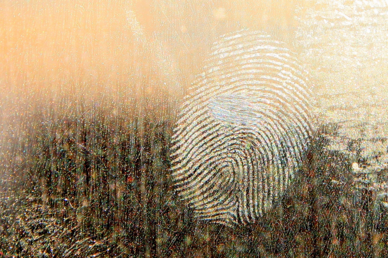 Impressões digitais se formam ainda no útero 3 Impressões digitais se formam ainda no útero