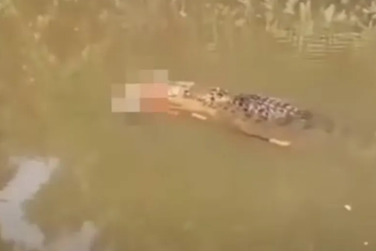 Crocodilo de seis metros é abatido após matar mulher em rio 31 Mulher de 36 anos é vítima de ataque fatal de crocodilo no rio Luan Boya, na província de Aceh, na Indonésia. Animal de seis metros foi localizado, capturado e abatido pelas autoridades.