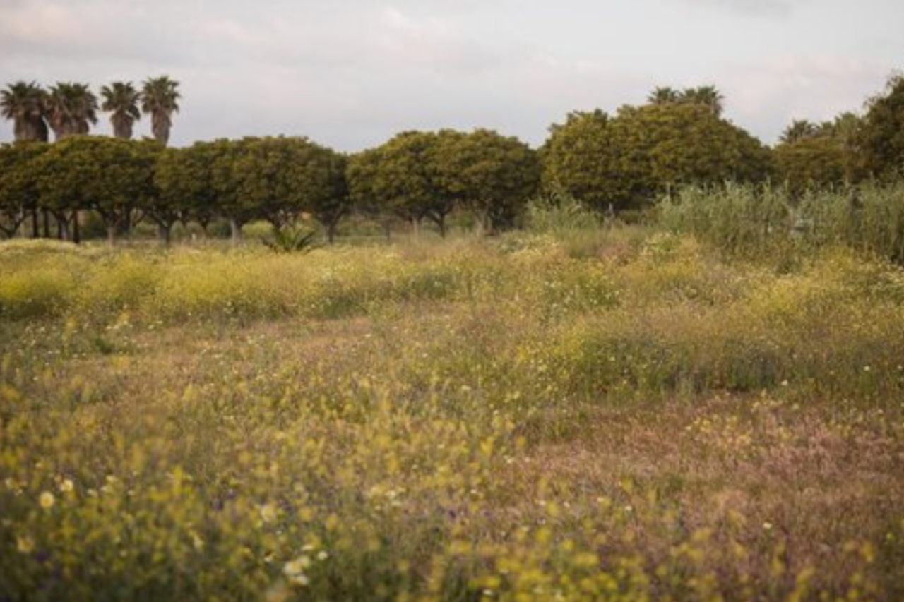 Preocupação é com o cenário de proliferação do Aedes aegypti e de animais peçonhentos