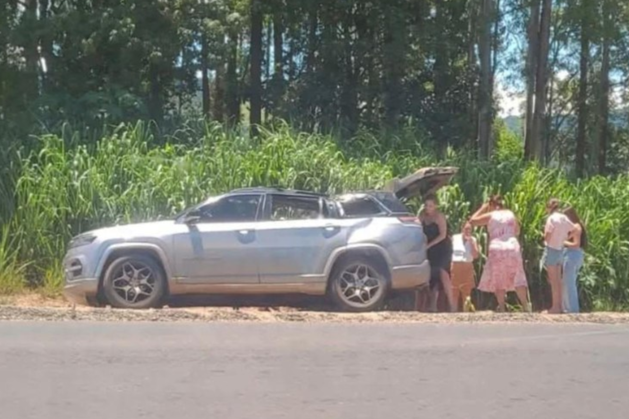 Criança de um ano morreu após eucalipto cair sobre veículo na MG-444, em Capetinga (MG). Família retornava do Carnaval quando ocorreu o acidente.