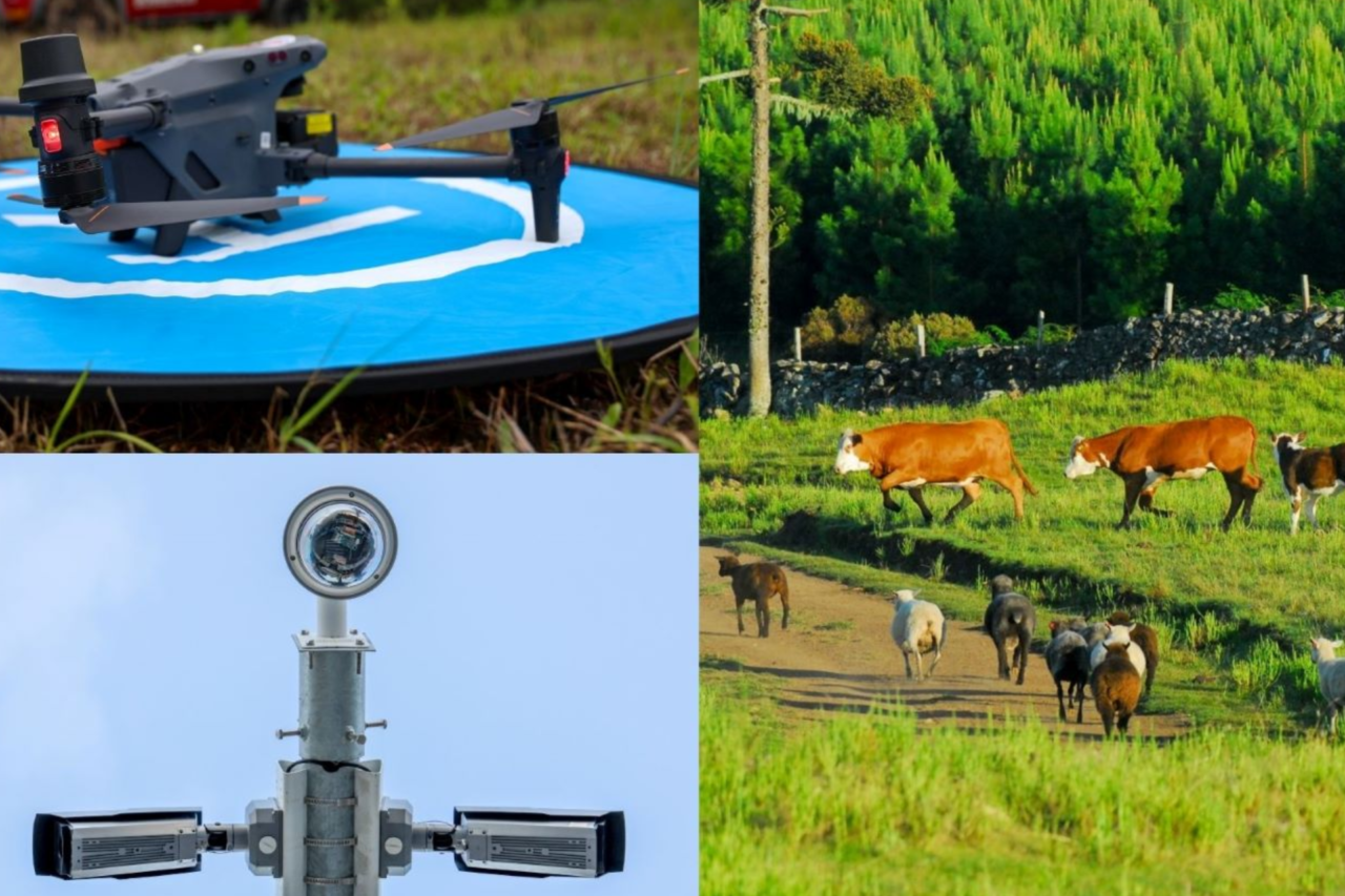 Programa Olho Bom investe R$ 44 milhões para modernizar fiscalização agropecuária em Santa Catarina 3 Cidasc implementa o Programa Olho Bom com investimentos em tecnologia, veículos e modernização de postos para reforçar o controle do trânsito de animais e fortalecer a defesa agropecuária em Santa Catarina.