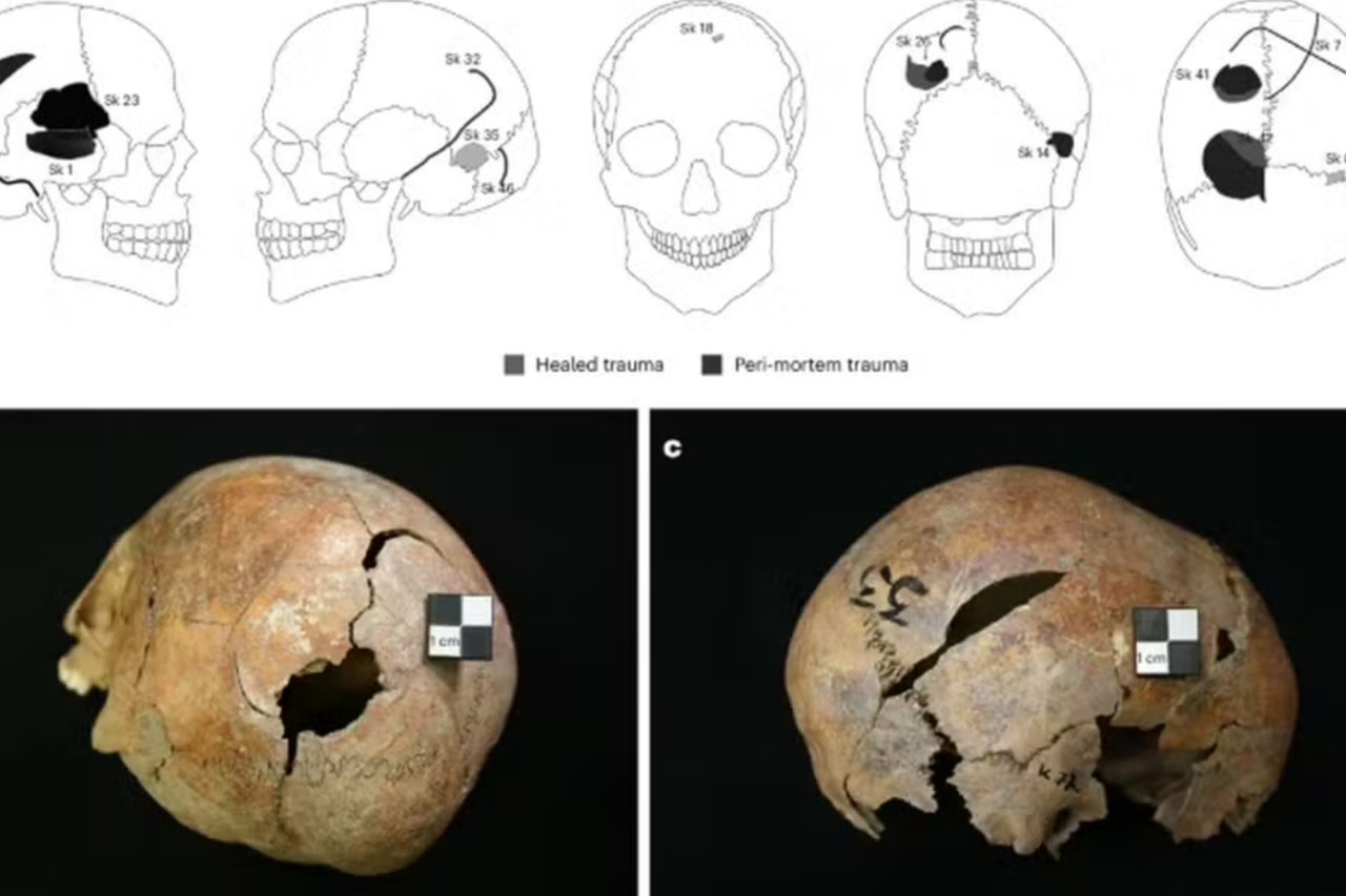 Descoberta revela que vala comum na Sérvia guarda massacre de mulheres e crianças há quase 3 mil anos 3 Descoberta revela que vala comum na Sérvia guarda massacre de mulheres e crianças há quase 3 mil anos