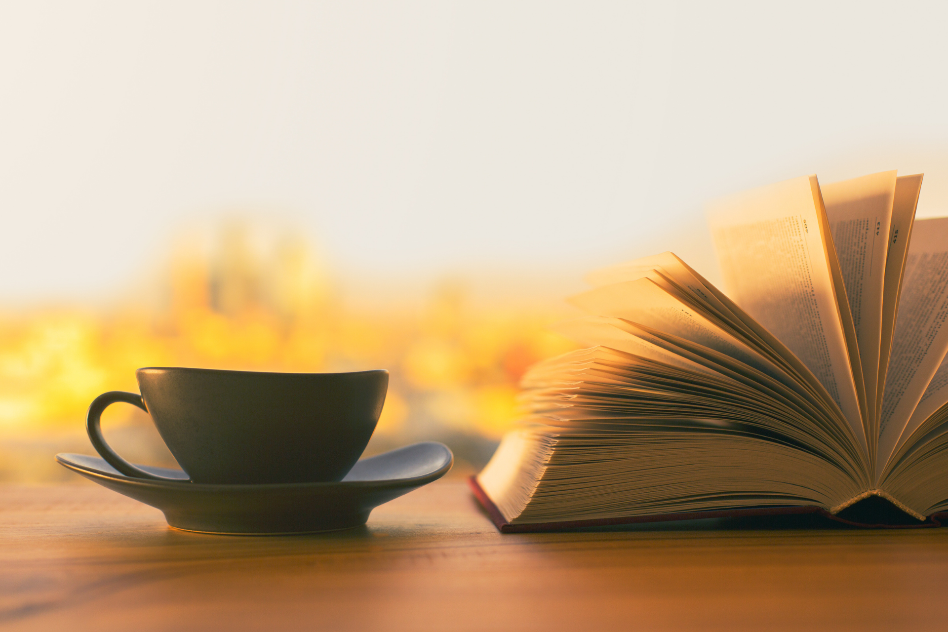 6 livros curtos que provocam reflexões longas e profundas