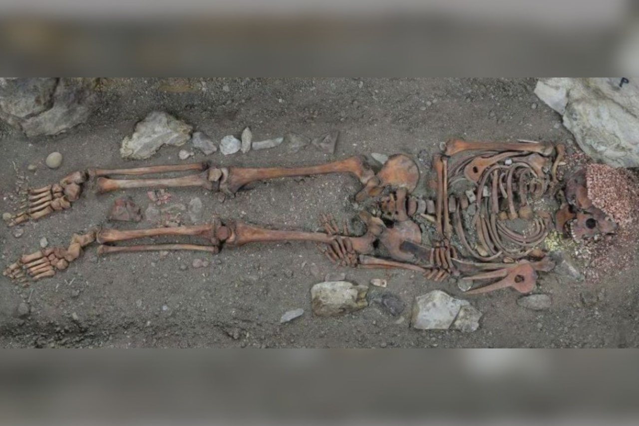 Adolescente do Paleolítico pode ter morrido após ataque de urso na Itália, aponta nova análise científica 1 Adolescente do Paleolítico pode ter morrido após ataque de urso na Itália, aponta nova análise científica