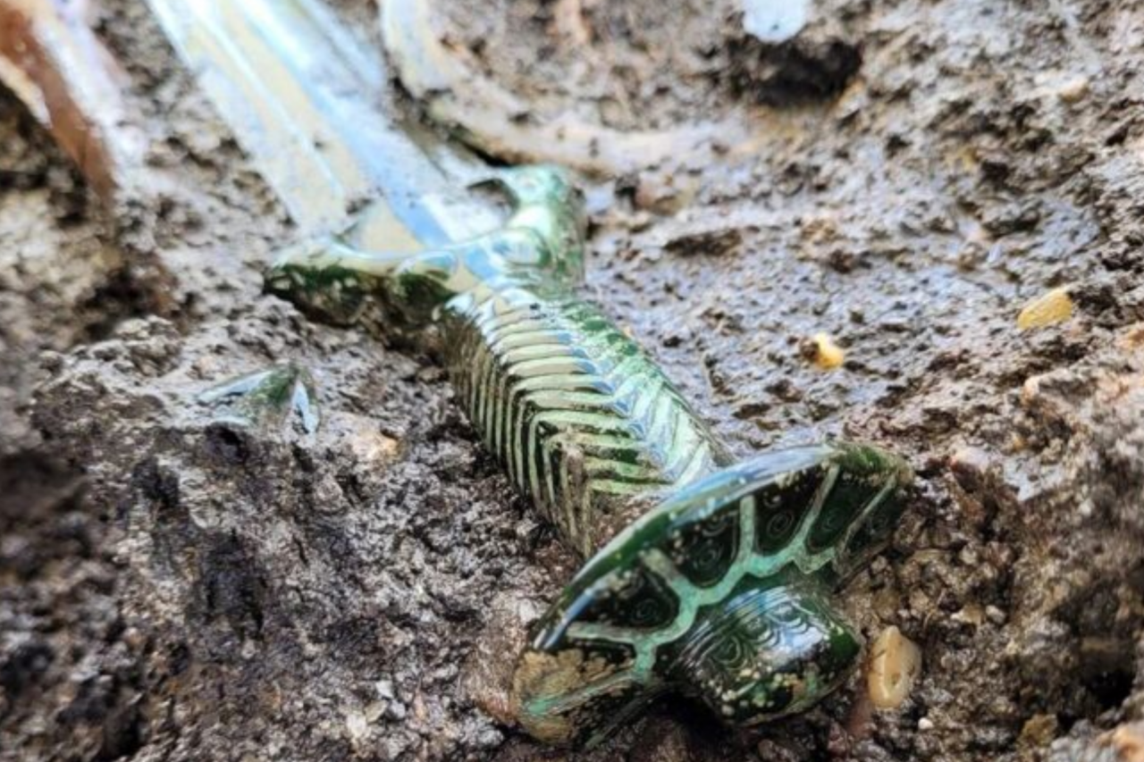 Espada de bronze com 3.400 anos é descoberta na Alemanha e revela técnicas avançadas da Idade do Bronze